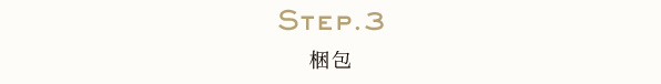 sp-step3
